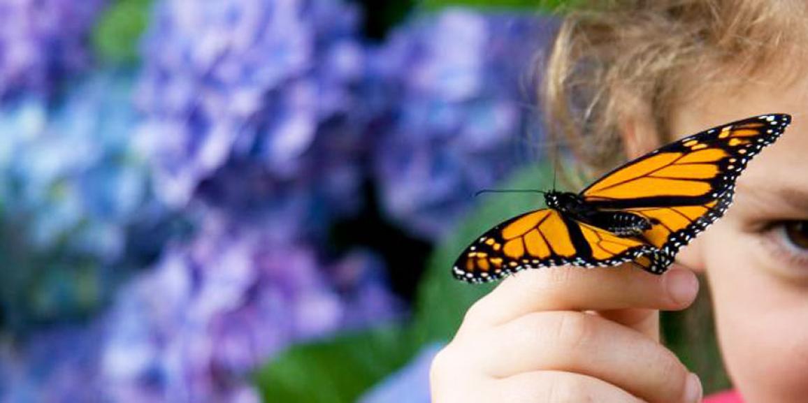 Réservez votre place pour la saison 2025