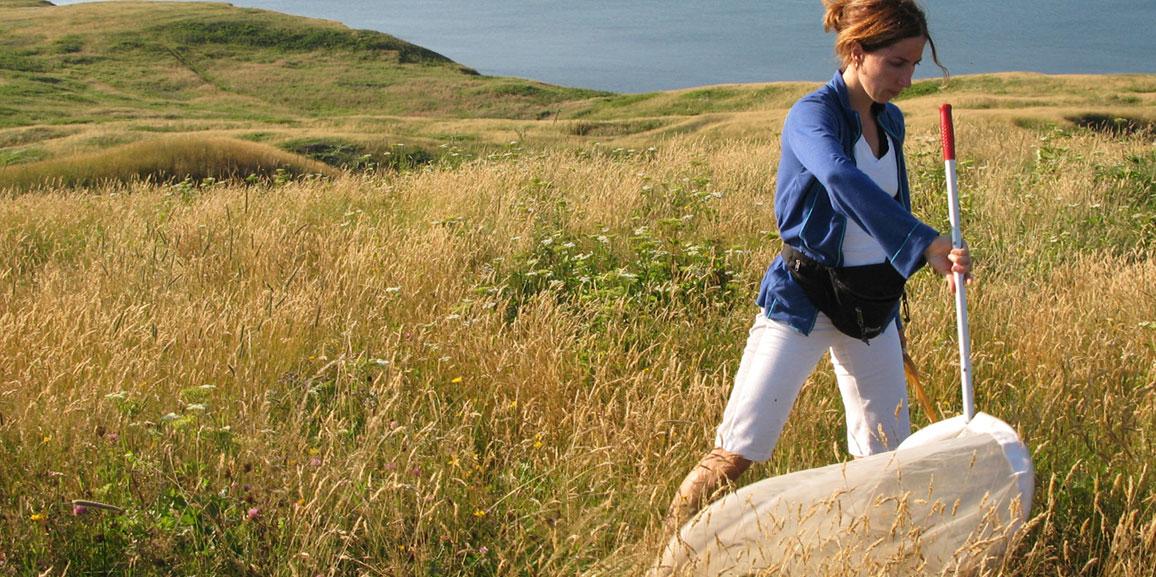 Qu’est-ce qu’une entomologiste?