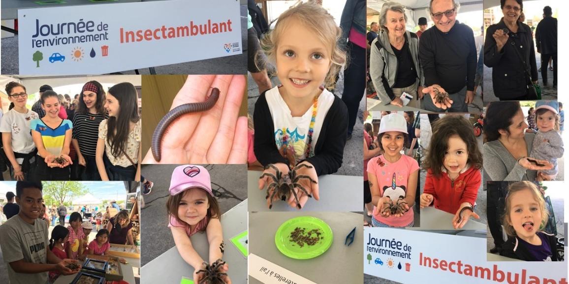 Insectambulant à la journée de l’environnement !