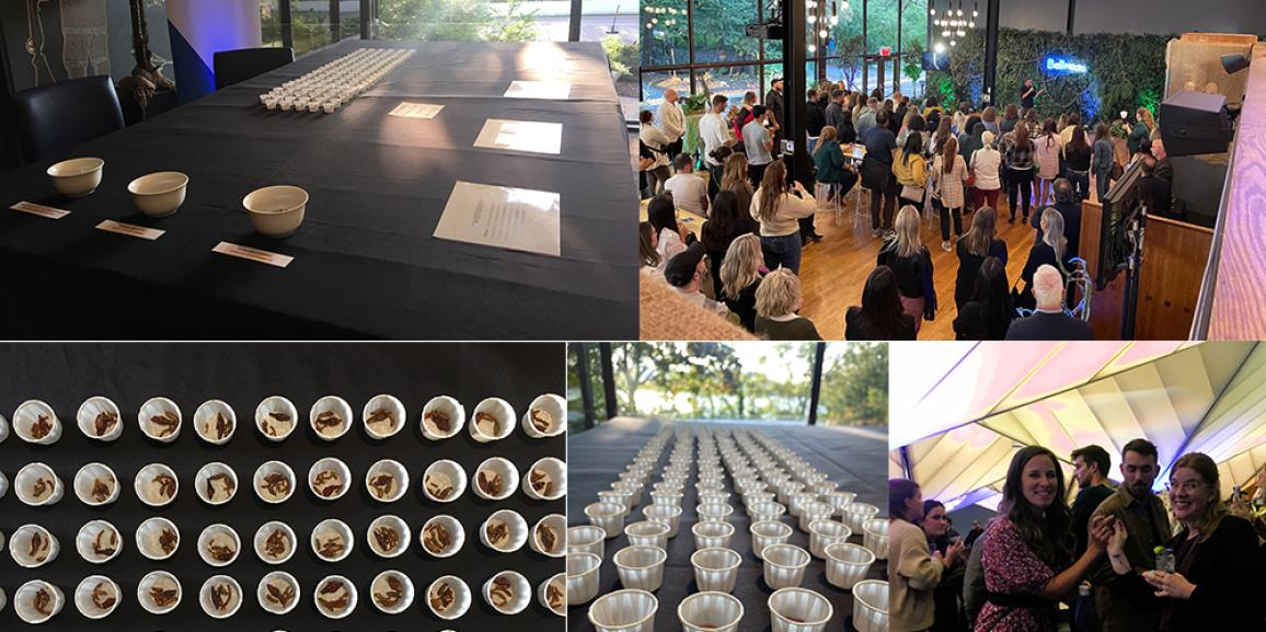 Dégustation d’insectes! Nous étions au lancement de la première édition de Survivor Québec!